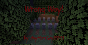 Скачать Wrong Way 1.0 для Minecraft 1.18.2