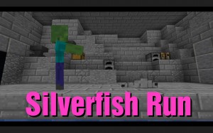 Скачать Silverfish Run для Minecraft 1.13.1