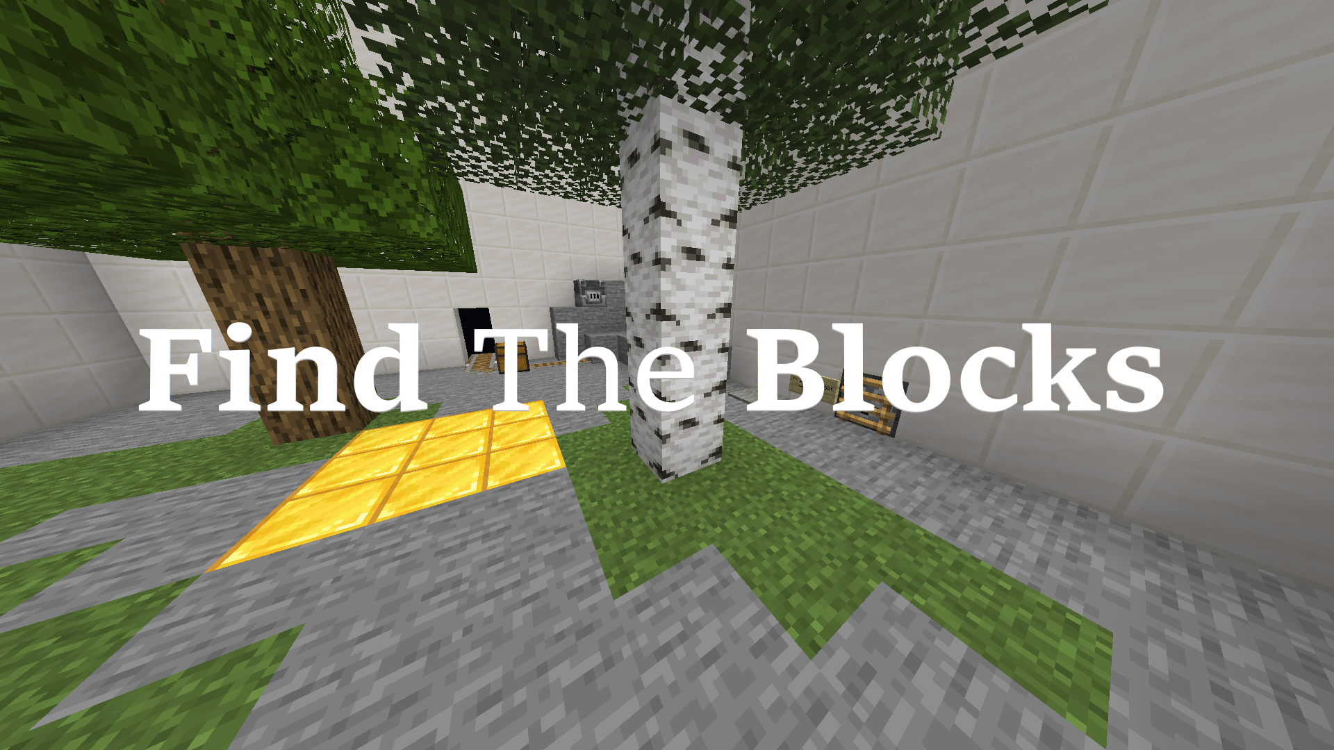 Скачать Find The Blocks для Minecraft 1.14.4