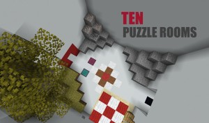 Скачать Ten Puzzle Rooms для Minecraft 1.16.4