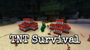 Скачать TNT Survival 1.0 для Minecraft 1.19