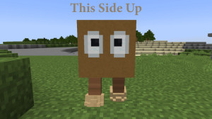 Скачать This Side Up 1.0 для Minecraft 1.18.2