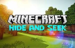 Скачать Hide and Seek для Minecraft 1.21.4