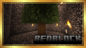 Скачать BedBlock для Minecraft 1.21.5